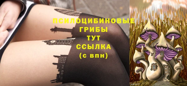 мдпв Чегем