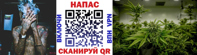 купить наркотик  Могоча  Шишки марихуана ГИДРОПОН 